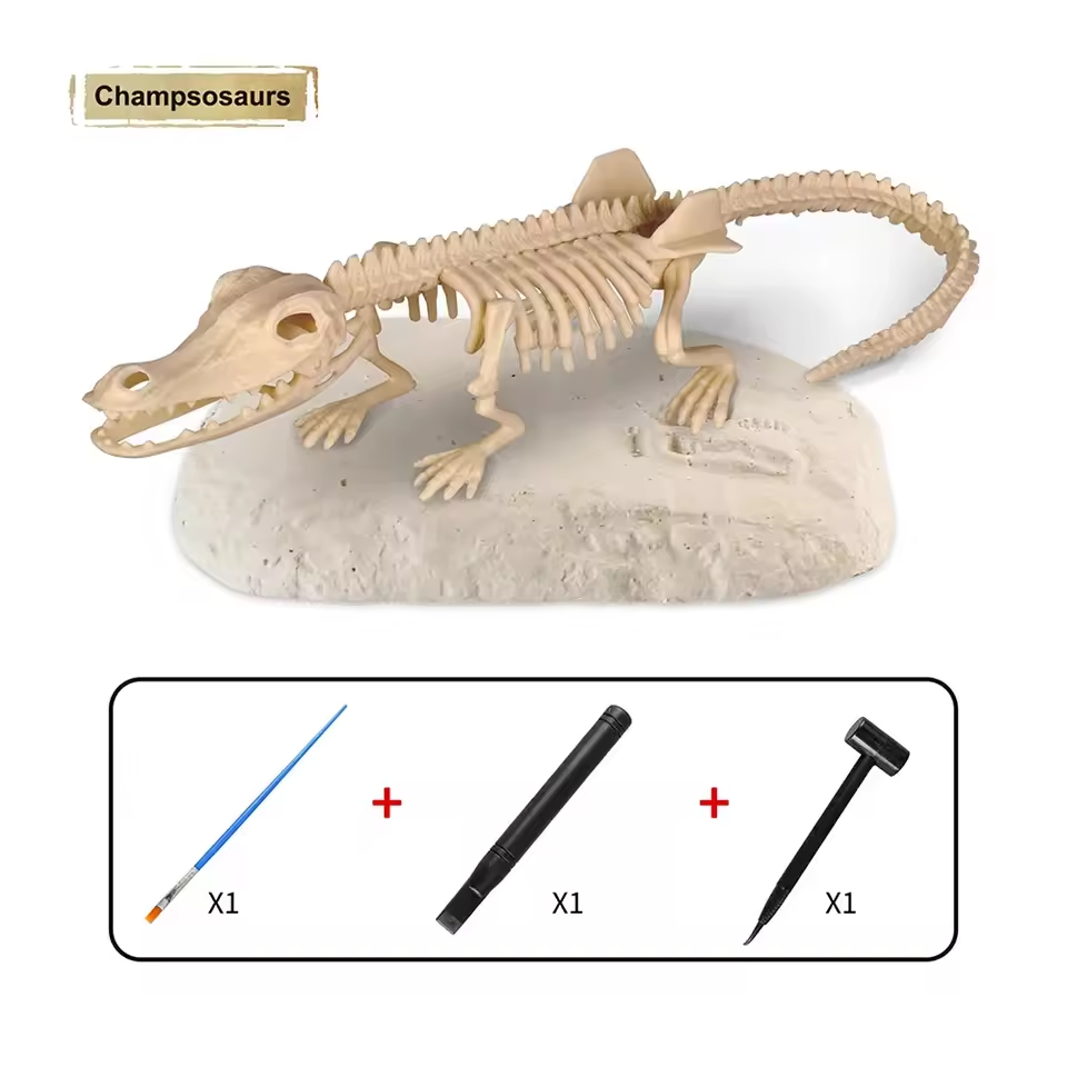 Dinosaur Fossil Digging Kit Toy Jurassic Animal Skeleton Model