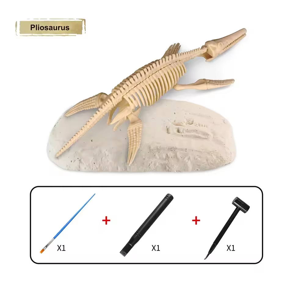Dinosaur Fossil Digging Kit Toy Jurassic Animal Skeleton Model