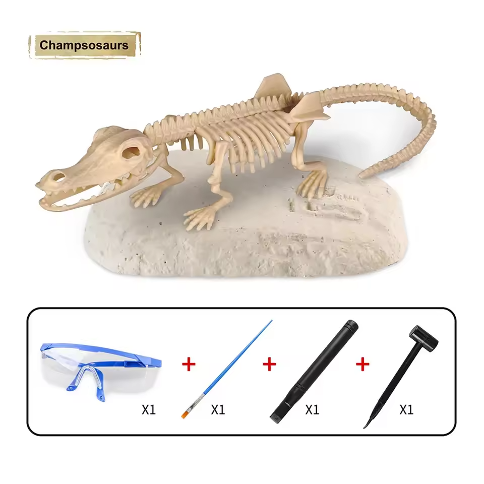 Dinosaur Fossil Digging Kit Toy Jurassic Animal Skeleton Model