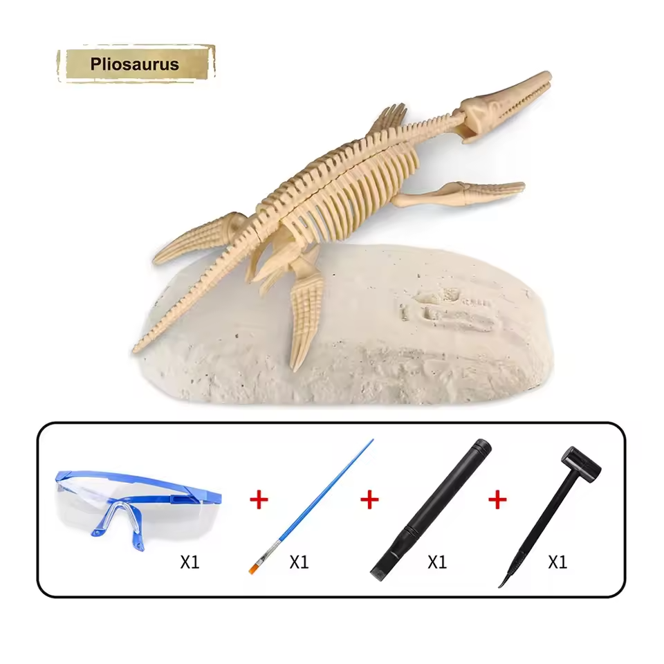 Dinosaur Fossil Digging Kit Toy Jurassic Animal Skeleton Model