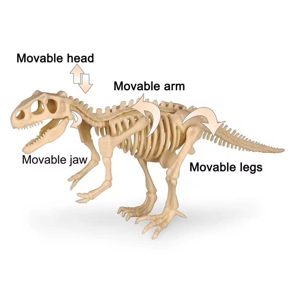 Dinosaur Fossil Digging Kit Toy Jurassic Animal Skeleton Model