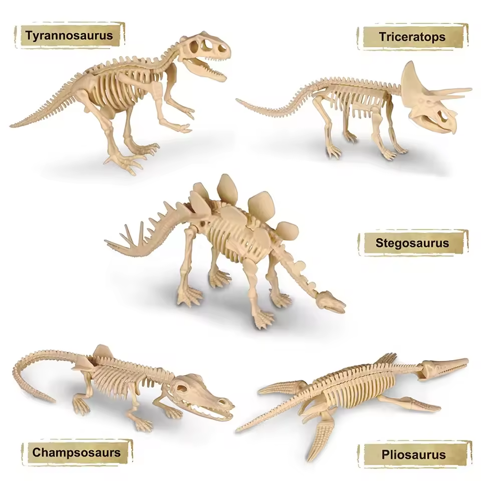 Dinosaur Fossil Digging Kit Toy Jurassic Animal Skeleton Model