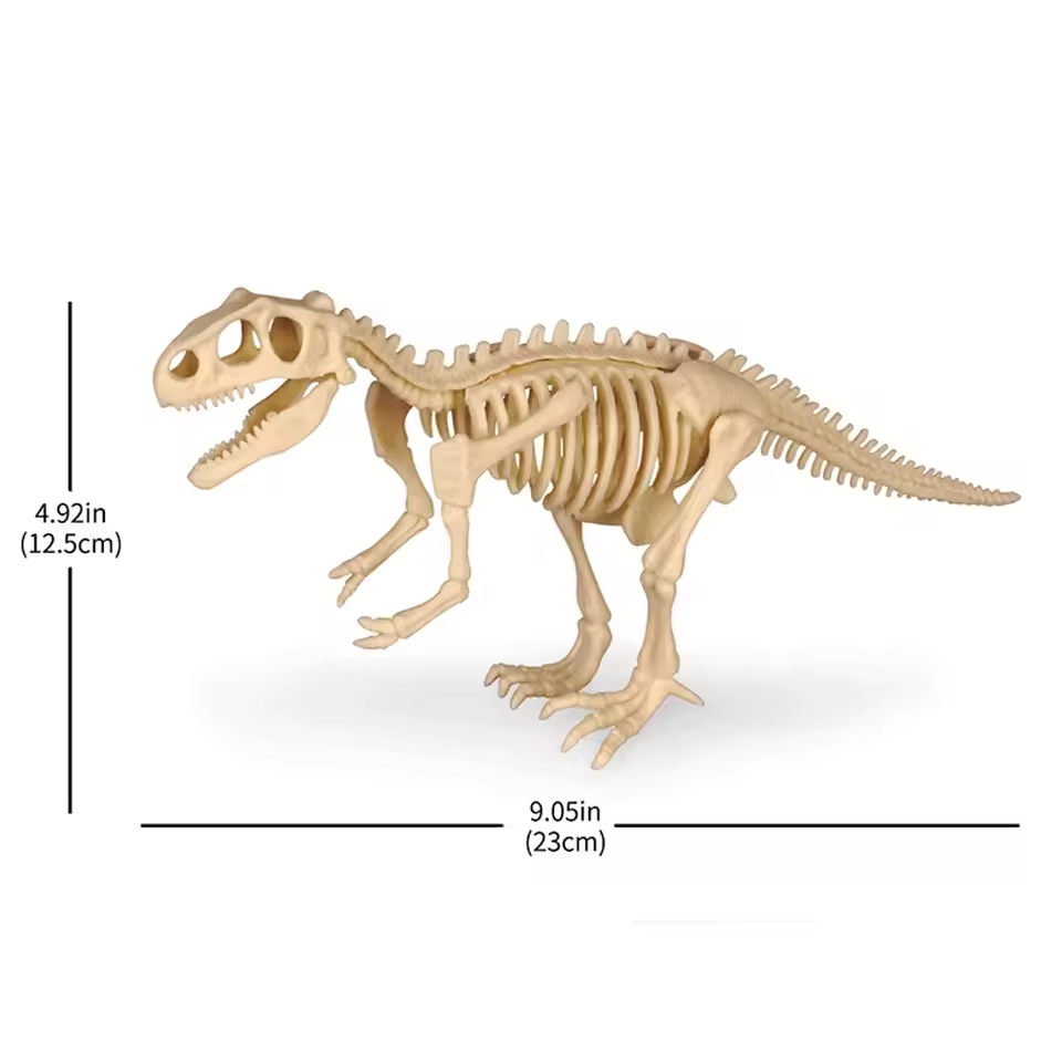 Dinosaur Fossil Digging Kit Toy Jurassic Animal Skeleton Model