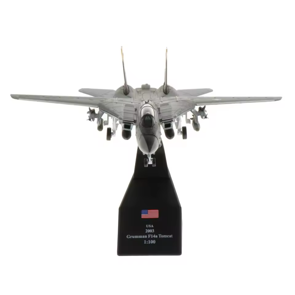 1:100 F-14 Fighter Aircraft