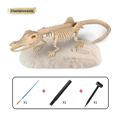 Dinosaur Fossil Digging Kit Toy Jurassic Animal Skeleton Model