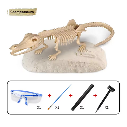 Dinosaur Fossil Digging Kit Toy Jurassic Animal Skeleton Model