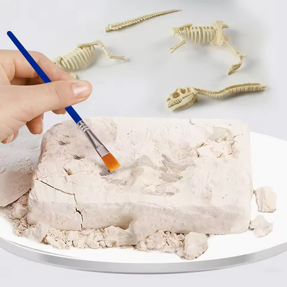 Dinosaur Fossil Digging Kit Toy Jurassic Animal Skeleton Model