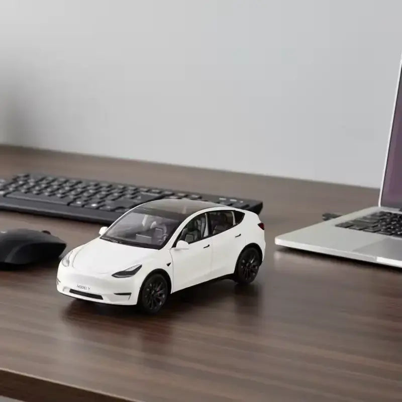 Tesla Model Y 1:24 Diecast Model