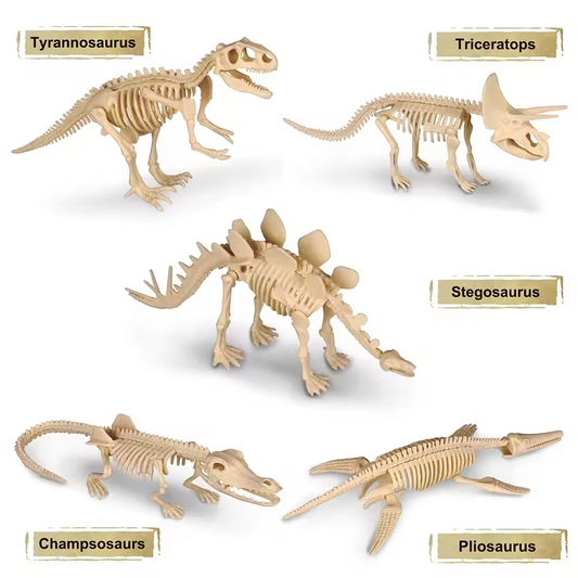 Dinosaur Fossil Digging Kit Toy Jurassic Animal Skeleton Model