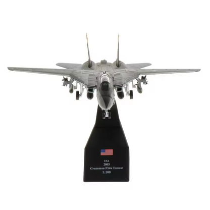 1:100 F-14  Fighter Aircraft
