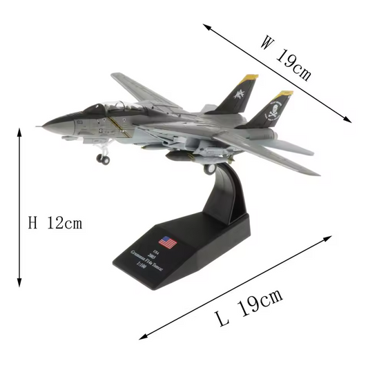 1:100 F-14  Fighter Aircraft